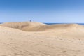 Coastal dunes in Maspalomas Royalty Free Stock Photo